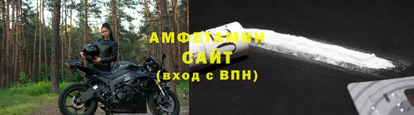 молекула духа Богородицк