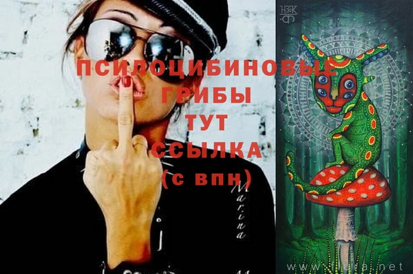 кокаин колумбия Богданович