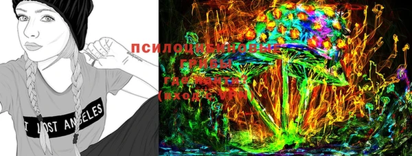 спайс Бородино