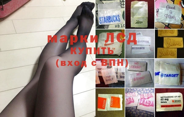 ПСИЛОЦИБИНОВЫЕ ГРИБЫ Нея